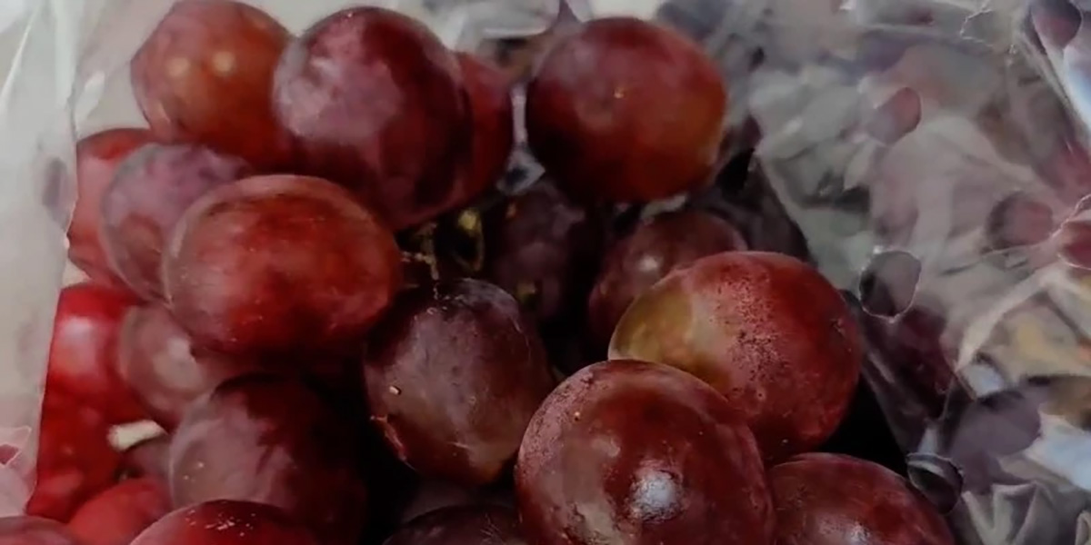 Gas in polvere: nuova tecnologia per prevenire il marciume in post-raccolta